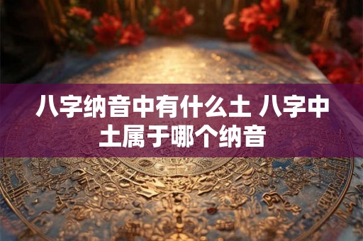 八字纳音中有什么土 八字中土属于哪个纳音 八字纳音中有什么土 八字中土属于哪个纳音