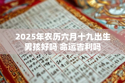 2025年农历六月十九出生男孩好吗 命运吉利吗 2025年农历六月十九出生男孩好吗 命运吉利吗