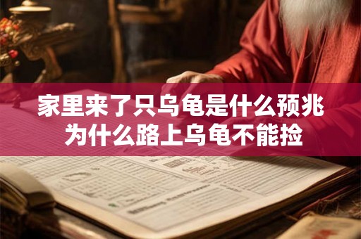 家里来了只乌龟是什么预兆 为什么路上乌龟不能捡 家里来了只乌龟是什么预兆 为什么路上乌龟不能捡