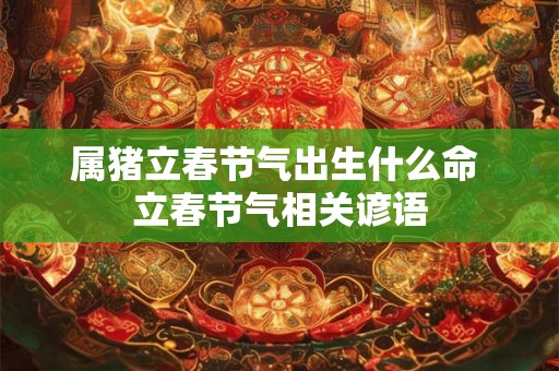 属猪立春节气出生什么命 立春节气相关谚语 属猪立春节气出生什么命 立春节气相关谚语