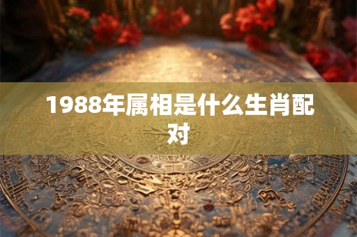 1988年属相是什么生肖配对