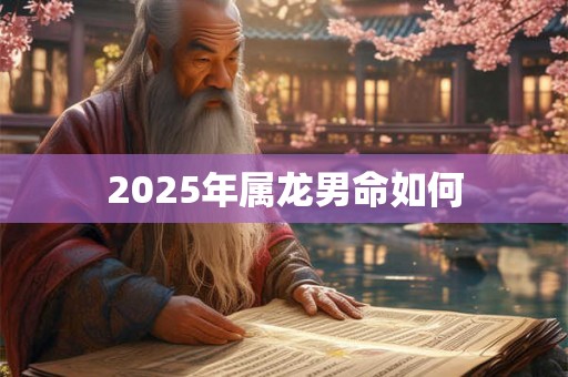 2025年属龙男命如何