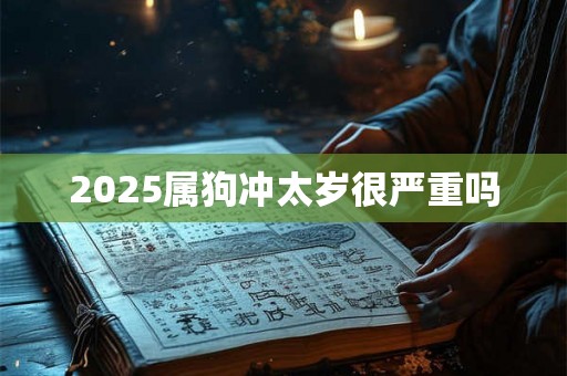2025属狗冲太岁很严重吗