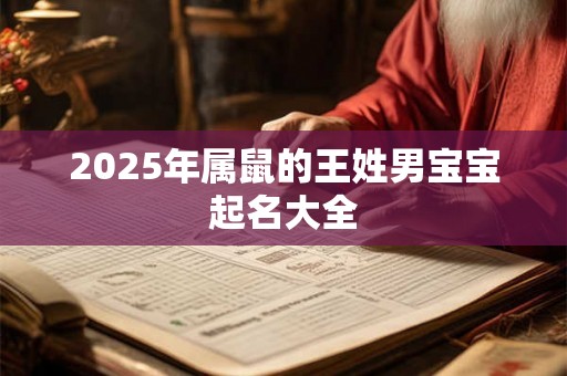 2025年属鼠的王姓男宝宝起名大全 2025年属鼠的王姓男宝宝起名大全