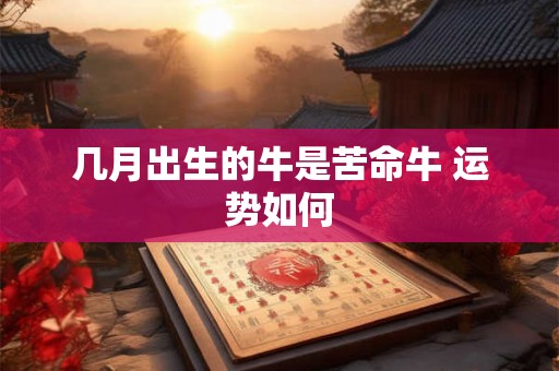 几月出生的牛是苦命牛 运势如何