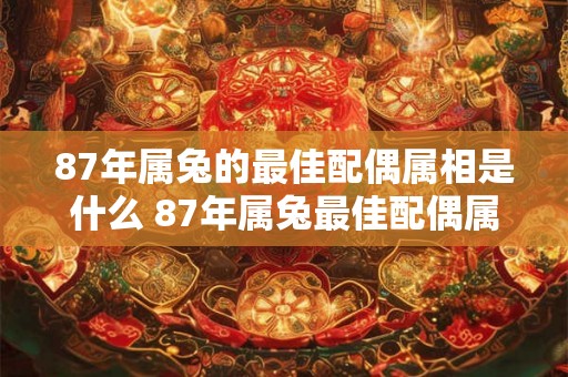 87年属兔的最佳配偶属相是什么 87年属兔最佳配偶属相