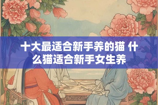 十大最适合新手养的猫 什么猫适合新手女生养 十大最适合新手养的猫 什么猫适合新手女生养