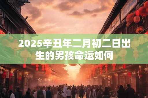 2025辛丑年二月初二日出生的男孩命运如何