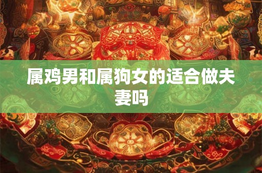 属鸡男和属狗女的适合做夫妻吗 属鸡男和属狗女的适合做夫妻吗
