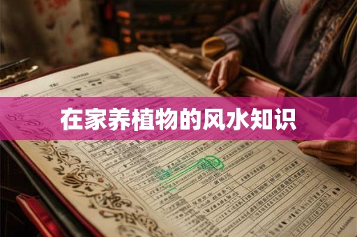 在家养植物的风水知识 在家养植物的风水知识