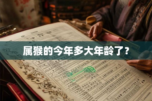属猴的今年多大年龄了？