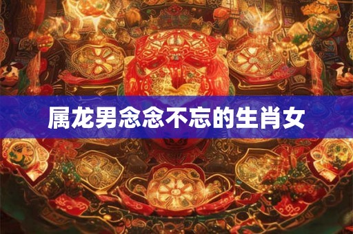 属龙男念念不忘的生肖女