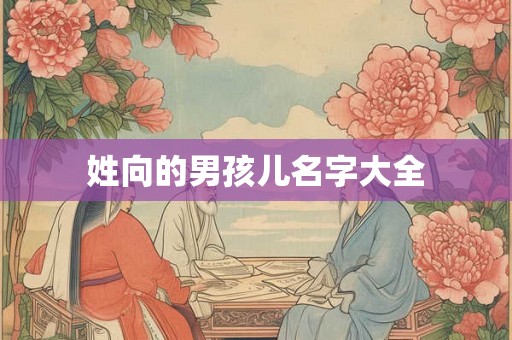 姓向的男孩儿名字大全 姓向的男孩儿名字大全