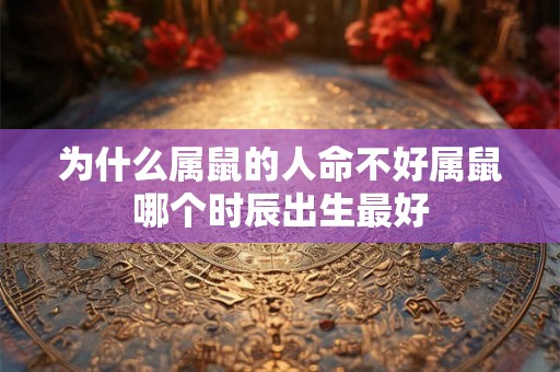 为什么属鼠的人命不好属鼠哪个时辰出生最好 为什么属鼠的人命不好属鼠哪个时辰出生最好