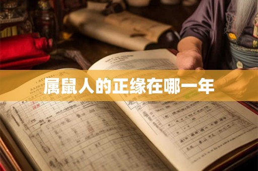 属鼠人的正缘在哪一年