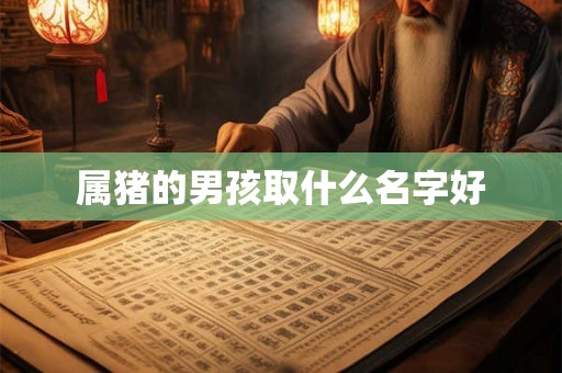 属猪的男孩取什么名字好 属猪的男孩取什么名字好