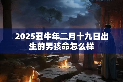 2025丑牛年二月十九日出生的男孩命怎么样