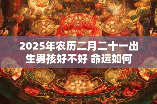 2025年农历二月二十一出生男孩好不好 命运如何 2025年农历二月二十一出生男孩好不好 命运如何