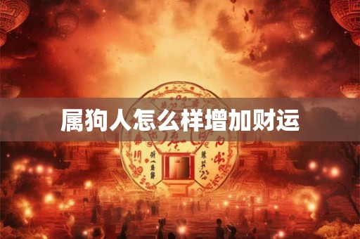 属狗人怎么样增加财运 属狗人怎么样增加财运