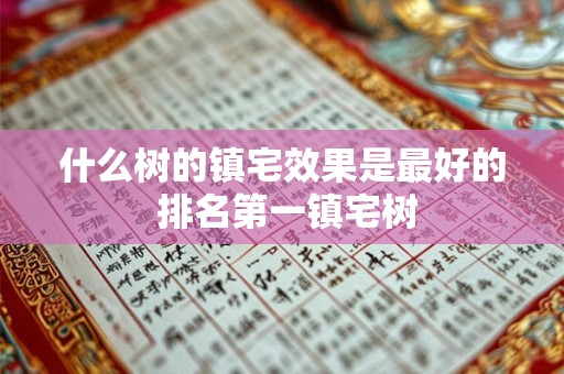 什么树的镇宅效果是最好的 排名第一镇宅树 什么树的镇宅效果是最好的 排名第一镇宅树