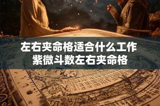 左右夹命格适合什么工作 紫微斗数左右夹命格 左右夹命格适合什么工作 紫微斗数左右夹命格