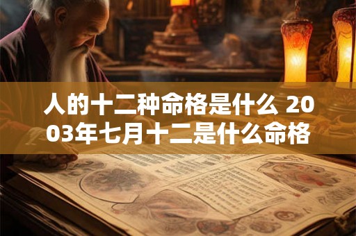 人的十二种命格是什么 2003年七月十二是什么命格