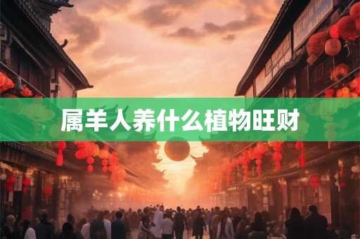 属羊人养什么植物旺财