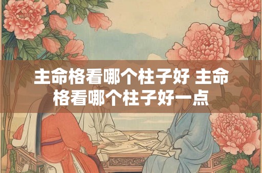 主命格看哪个柱子好 主命格看哪个柱子好一点 主命格看哪个柱子好 主命格看哪个柱子好一点