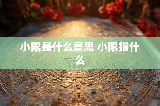 小限是什么意思 小限指什么