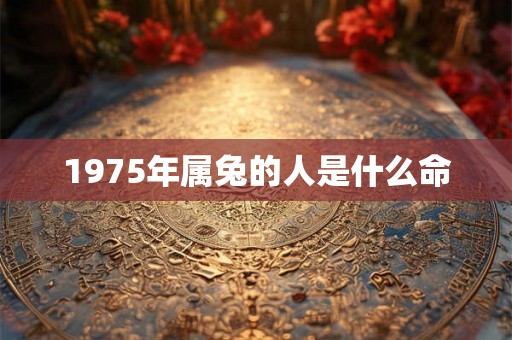 1975年属兔的人是什么命 1975年属兔的人是什么命