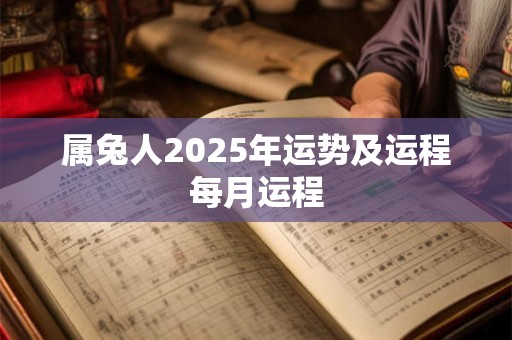 属兔人2025年运势及运程每月运程 属兔人2025年运势及运程每月运程