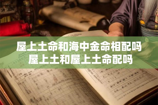 屋上土命和海中金命相配吗 屋上土和屋上土命配吗 屋上土命和海中金命相配吗 屋上土和屋上土命配吗