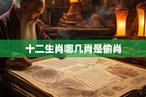 十二生肖哪几肖是偷肖