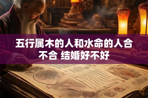 五行属木的人和水命的人合不合 结婚好不好 五行属木的人和水命的人合不合 结婚好不好