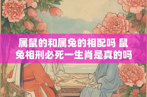属鼠的和属兔的相配吗 鼠兔相刑必死一生肖是真的吗 属鼠的和属兔的相配吗 鼠兔相刑必死一生肖是真的吗
