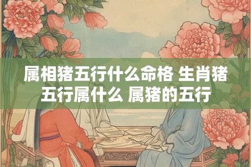 属相猪五行什么命格 生肖猪五行属什么 属猪的五行 属相猪五行什么命格 生肖猪五行属什么 属猪的五行