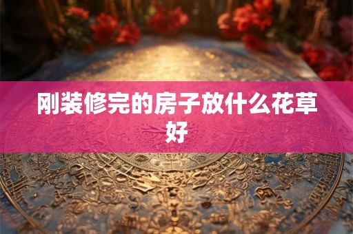 刚装修完的房子放什么花草好 刚装修完的房子放什么花草好