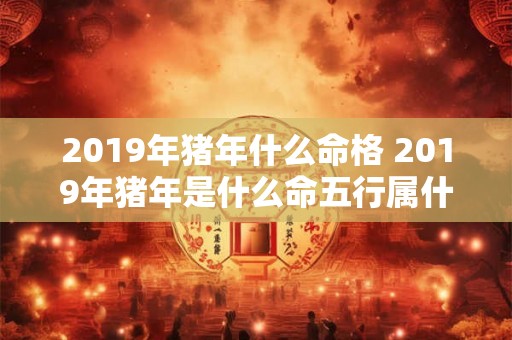 2019年猪年什么命格 2019年猪年是什么命五行属什么