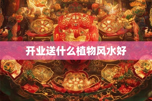 开业送什么植物风水好 开业送什么植物风水好