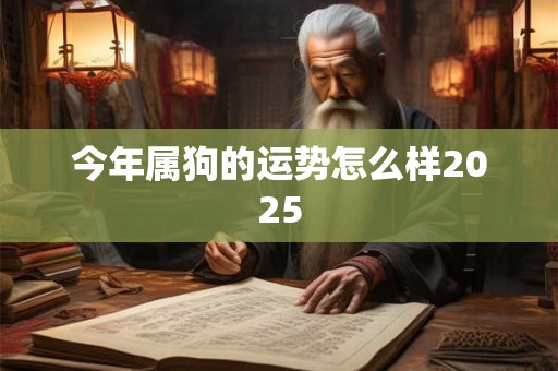 今年属狗的运势怎么样2025 今年属狗的运势怎么样2025