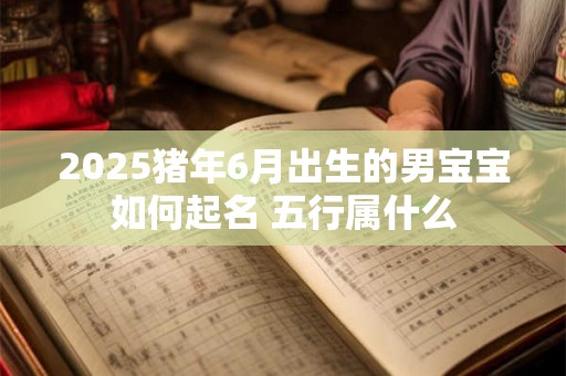 2025猪年6月出生的男宝宝如何起名 五行属什么 2025猪年6月出生的男宝宝如何起名 五行属什么