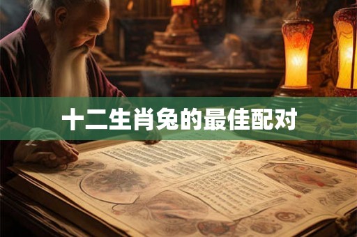十二生肖兔的最佳配对