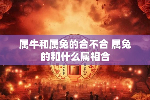 属牛和属兔的合不合 属兔的和什么属相合 属牛和属兔的合不合 属兔的和什么属相合