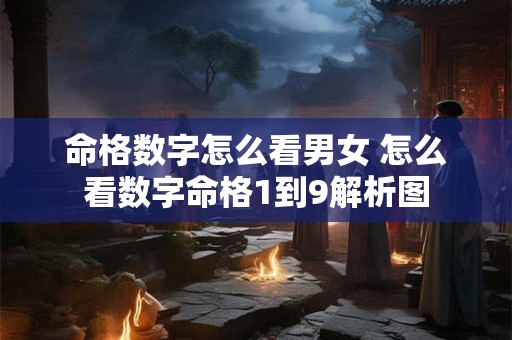 命格数字怎么看男女 怎么看数字命格1到9解析图