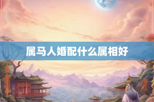 属马人婚配什么属相好
