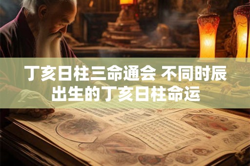 丁亥日柱三命通会 不同时辰出生的丁亥日柱命运 丁亥日柱三命通会 不同时辰出生的丁亥日柱命运