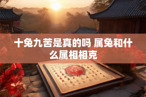 十兔九苦是真的吗 属兔和什么属相相克 十兔九苦是真的吗 属兔和什么属相相克
