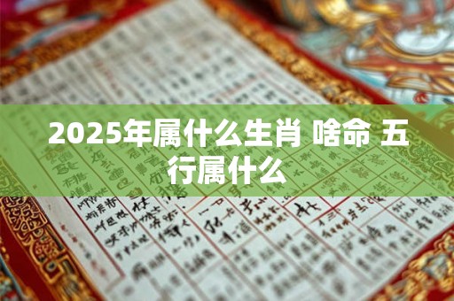 2025年属什么生肖 啥命 五行属什么