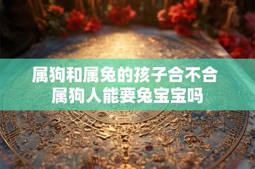 属狗和属兔的孩子合不合 属狗人能要兔宝宝吗