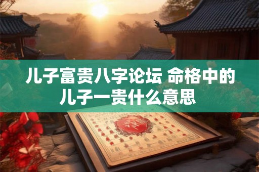 儿子富贵八字论坛 命格中的儿子一贵什么意思 儿子富贵八字论坛 命格中的儿子一贵什么意思